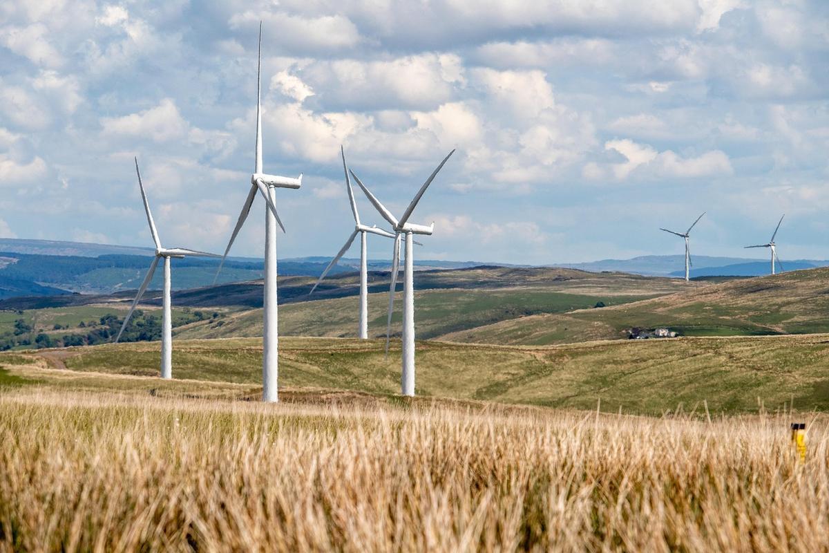 Cooperativas gaúchas garantem nova energia após rescisão de contratos com a Electra